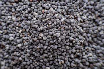 background of dried poppy seeds close-up
