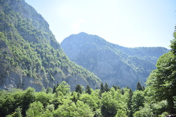 The mountains 