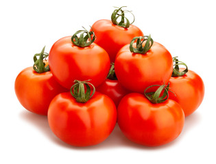 tomatoes