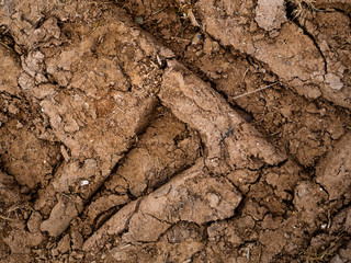 hard ground to get wallpapers