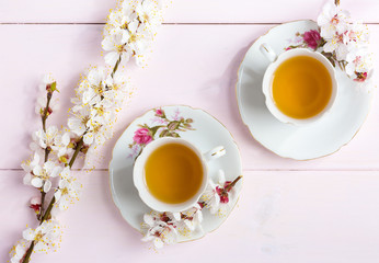 Two cups of tea and spring flowers (blooms of an Apricot) on a light pink wooden table.