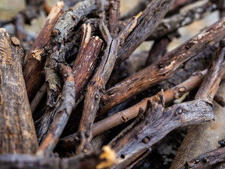 Fototapeta premium wallpaper of pieces of sticks on the ground