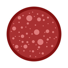 Round slice of sausage salami vector flat isolated