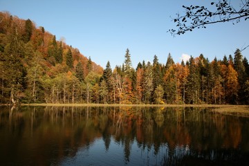 Landscape in the forest with a lake.savsat/artvin/turkey