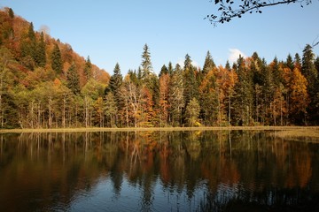 Landscape in the forest with a lake.savsat/artvin/turkey