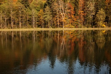 Landscape in the forest with a lake.savsat/artvin/turkey