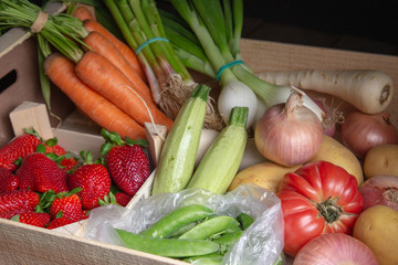 market cage full of vegetables