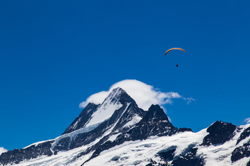 Naklejka na ściany i meble Paraglider above Peak