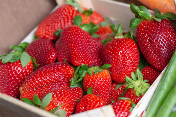 Delicious strawberries in a basket
