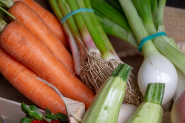 Variety of vegetables from the garden