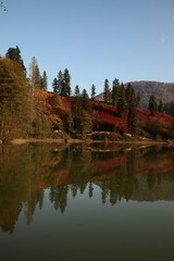Landscape in the forest with a lake.savsat/artvin/turkey