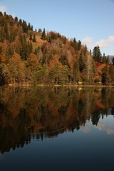 Fototapeta premium Landscape in the forest with a lake.savsat/artvin/turkey