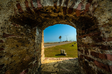 Obraz premium From the wall