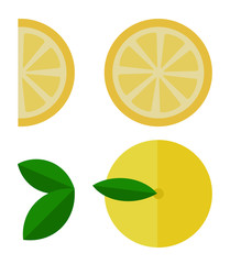 Lemon and its pieces vector flat isolated