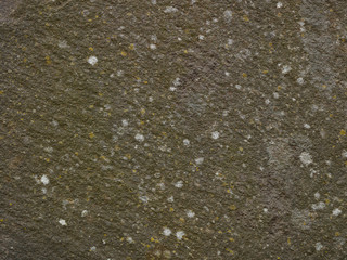 Textured stone for background