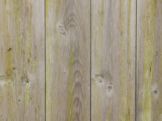 Fototapeta premium Wooden planks for background