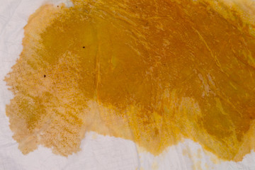 pet pad of a dog with modified color of urine because of bilirubin pigment.Hepatic disease