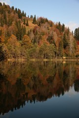 Landscape in the forest with a lake.savsat/artvin/turkey