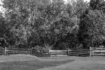 Rustic Split-rail fence at the forest's edge in black and white.
