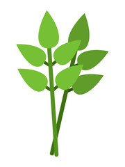 Fototapeta na wymiar Bay leafs flat icon vector isolated