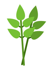 Bay leafs flat icon vector isolated