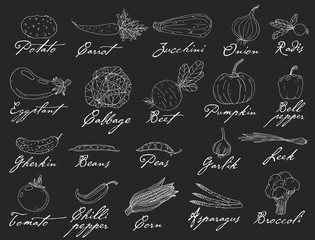 Big set elements with hand drawn vegetables on a chalkboard background.