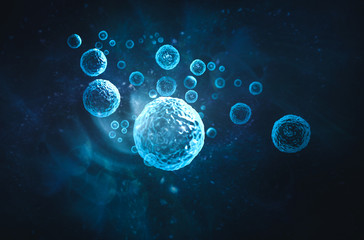 Zelle - Infection - Virus