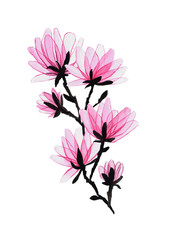  illustration of flowers. watercolor flowers, pink flowers and leaves
