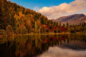 Landscape in the forest with a lake.savsat/artvin/turkey