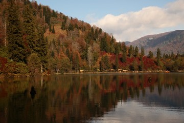 Landscape in the forest with a lake.savsat/artvin/turkey