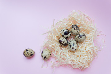 Quail eggs in a nest on a pink background, Easter