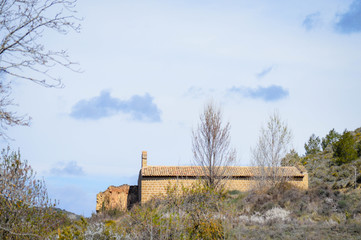 Animales y naturaleza en españa