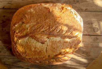 sourdough wheat bread