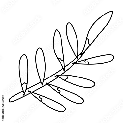 branch with leafs icon