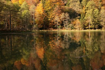 Landscape in the forest with a lake.savsat/artvin/turkey