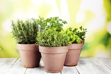 Homegrown and aromatic herbs in old clay pots