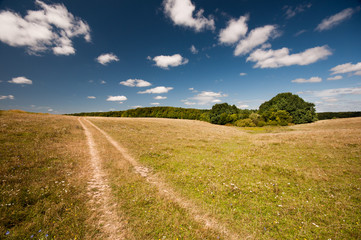 Empty summer pathway in field with blue sky and clouds