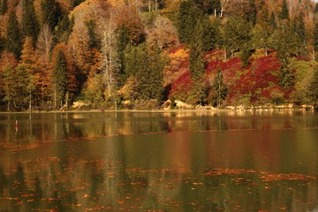 Landscape in the forest with a lake.savsat/artvin/turkey
