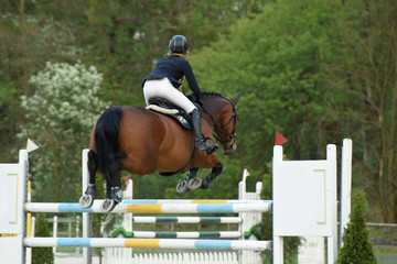 jazda konna © PAWEL