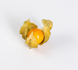 physalis isolated on white background