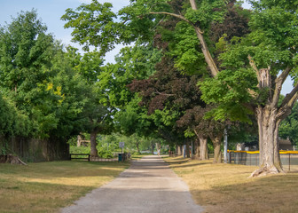 Path in the Park