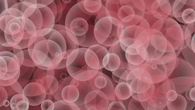Pink red burgundy Gray seamless rising Bubbles floating and slow moving Loop particle Bubble Animation Black Background.