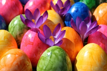 Fröhlicher Ostergruß