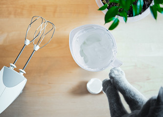 Cat whipping whites of eggs for cake to perfect peaks while his owner is away.