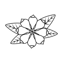 flower with leafs icon