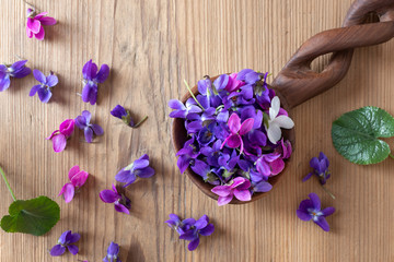 Wood violet flowers on a spoon, top view