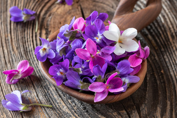Obraz na płótnie Canvas Wood violet flowers on a wooden spoon