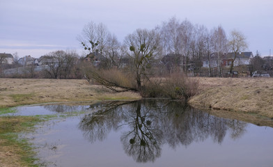 Country landscape in early spring.