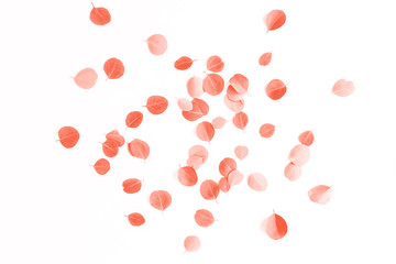 Background made of green leaves eucalyptus in coral color.  Flat lay, top view