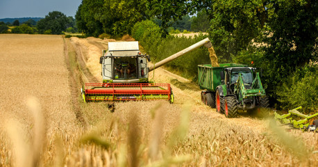 combine harvester working on field